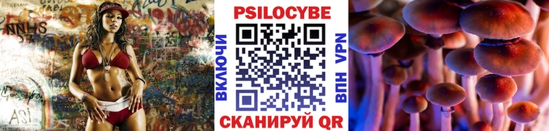 Галлюциногенные грибы GOLDEN TEACHER Бежецк