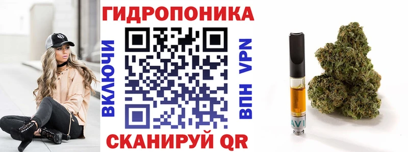 закладка  Бежецк  Бошки марихуана индика 